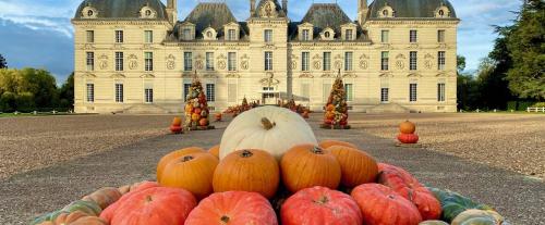 Loisirs à l'Auberge et autour de Chitenay